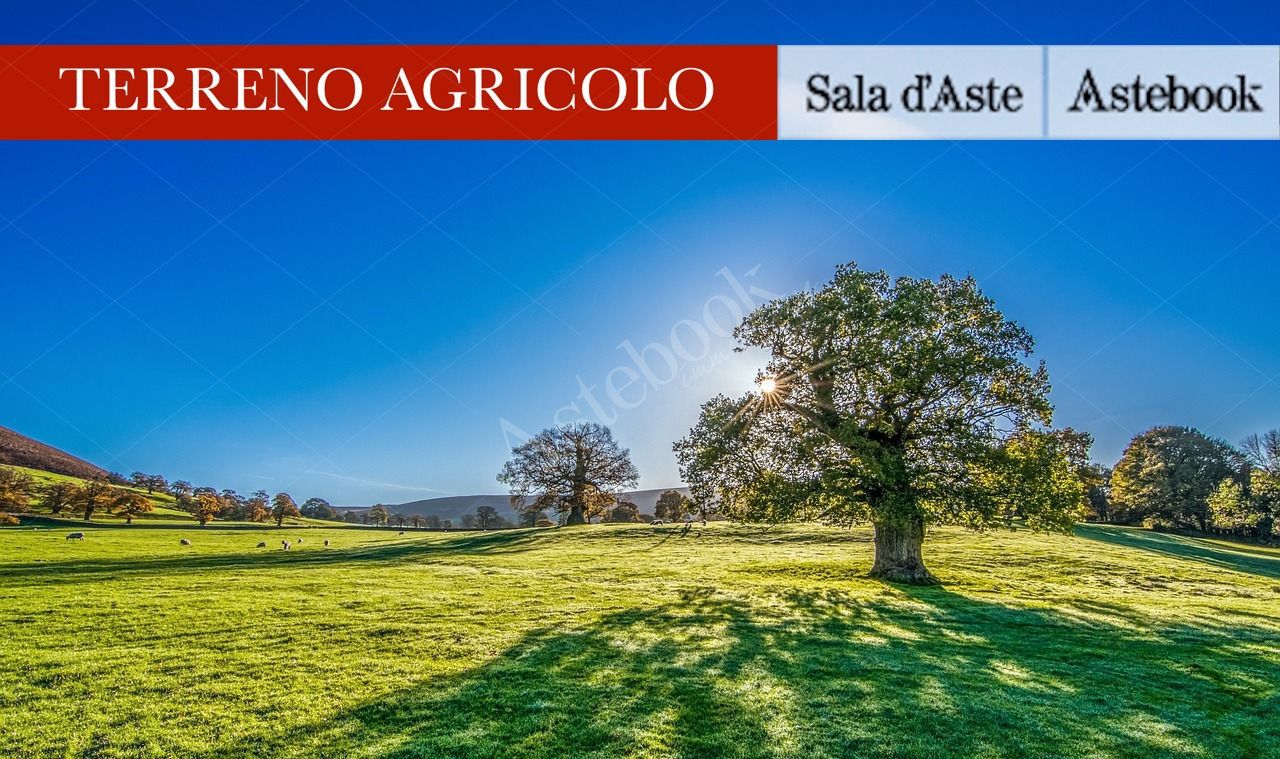 Terreno agricolo di 3050 mq in Casatenovo