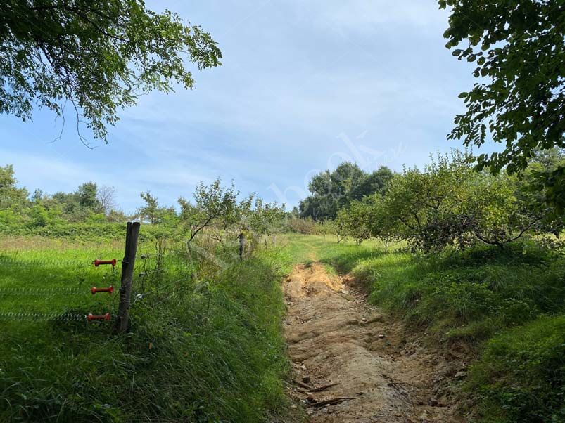 Strutture funzionali per azienda agricola, ristorante, appartamento e terreni agricoli in La Valletta Brianza