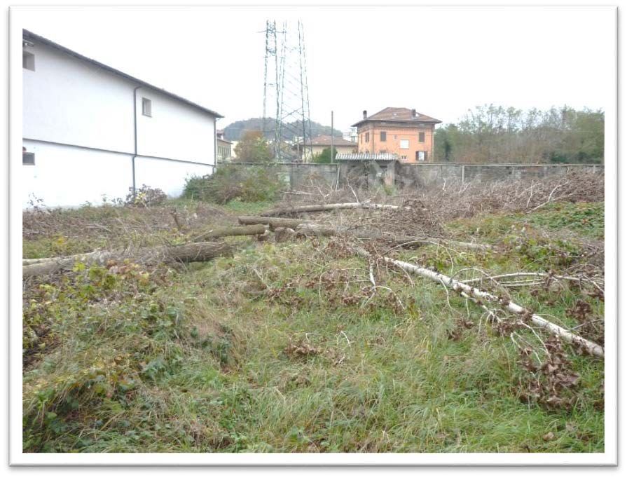 Complesso ad uso produttivo e discarica in Arquata Scrivia 