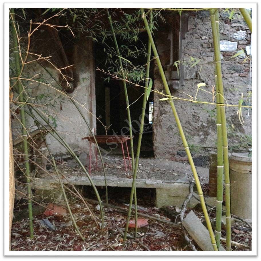 Villa Ghigliotti con terreni in Arquata Scrivia