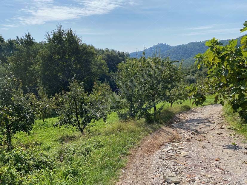 Vendita d'azienda GALBUSERA BIANCA S.R.L. con strutture funzionali e terreni in La Valletta Brianza