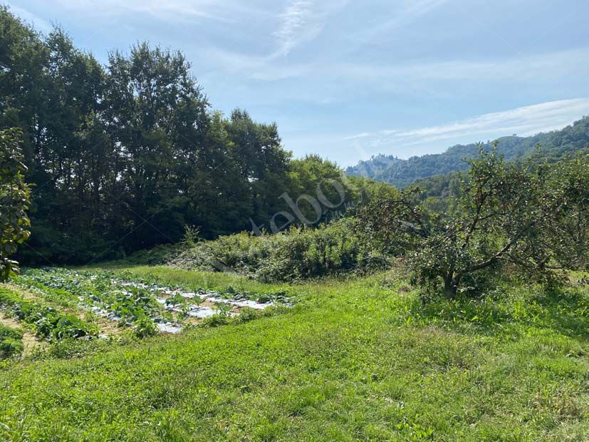 Vendita d'azienda GALBUSERA BIANCA S.R.L. con strutture funzionali e terreni in La Valletta Brianza