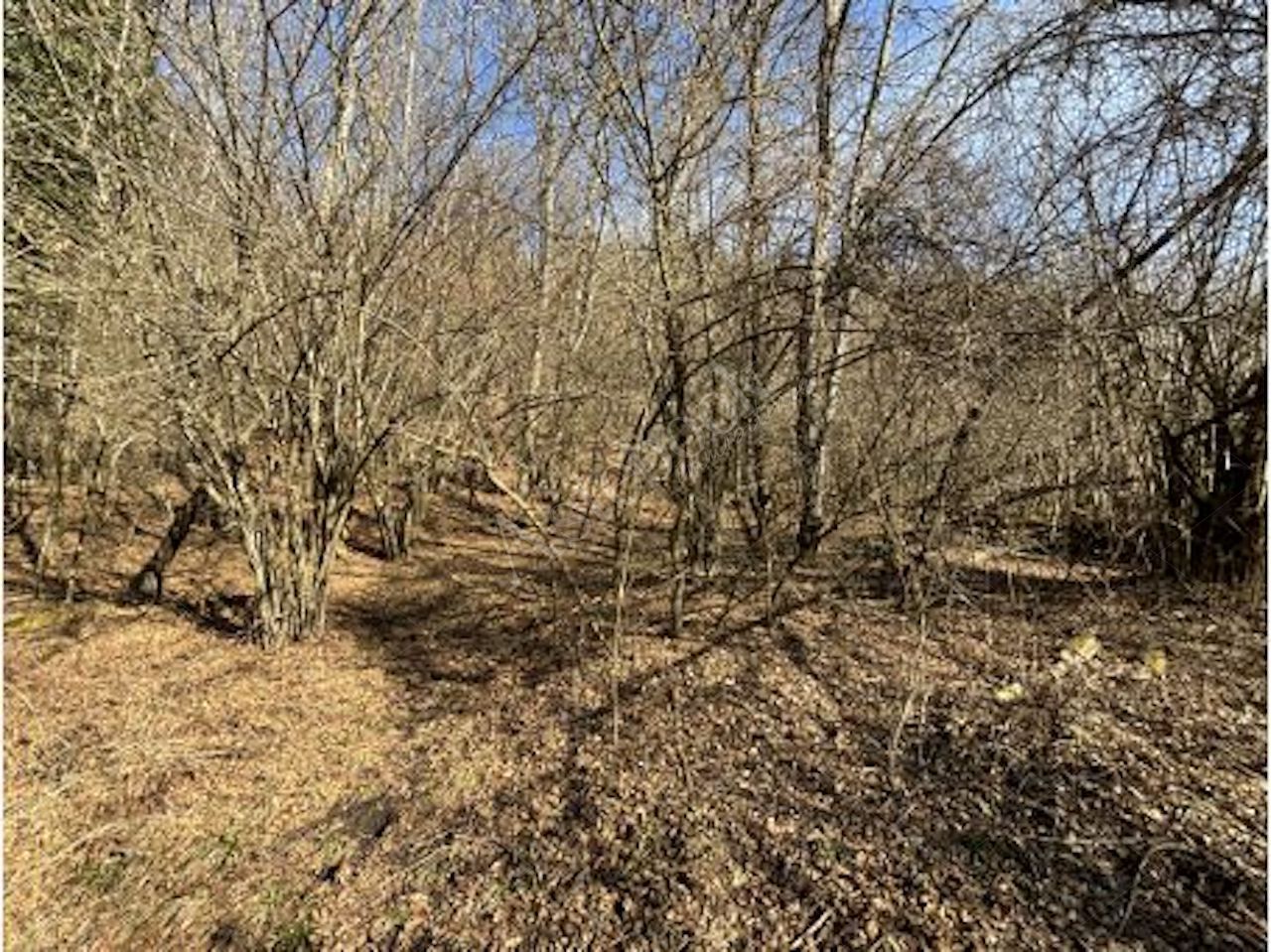 Terreno agricolo della superficie commerciale di 16150 mq in Cassina Valsassina