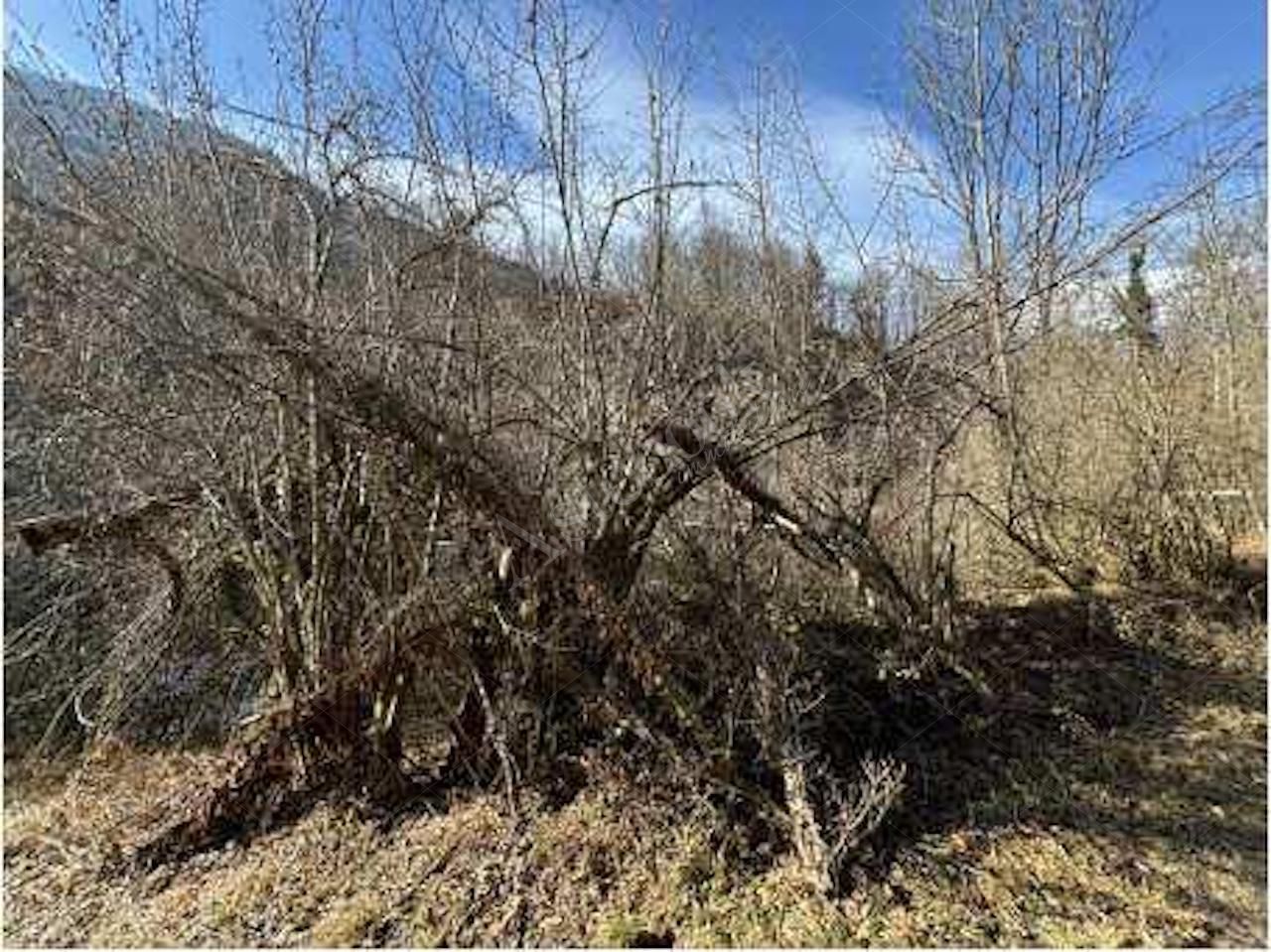 Terreno agricolo della superficie commerciale di 16150 mq in Cassina Valsassina