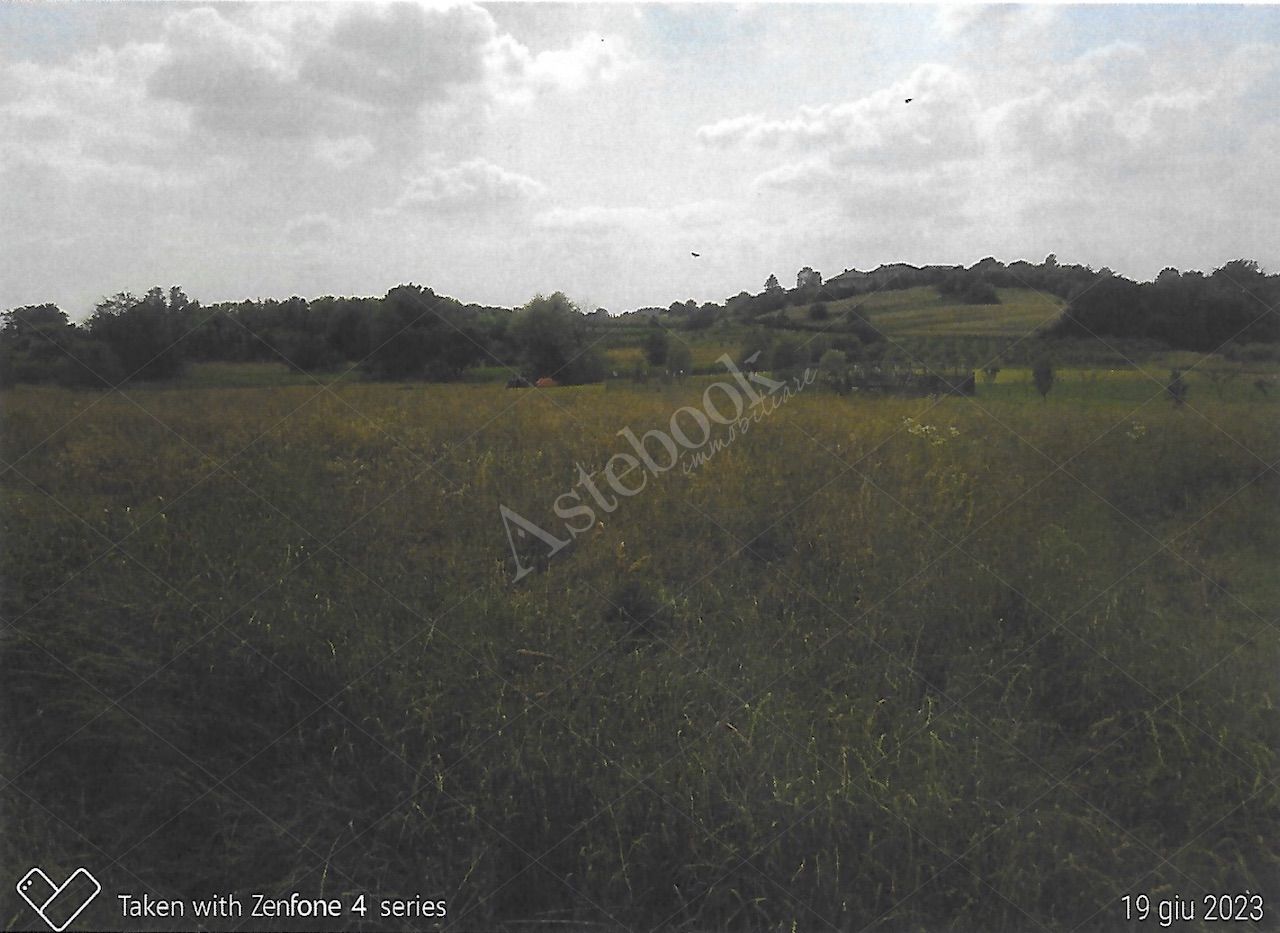 Terreno agricolo di 3660 mq in Costa Masnaga