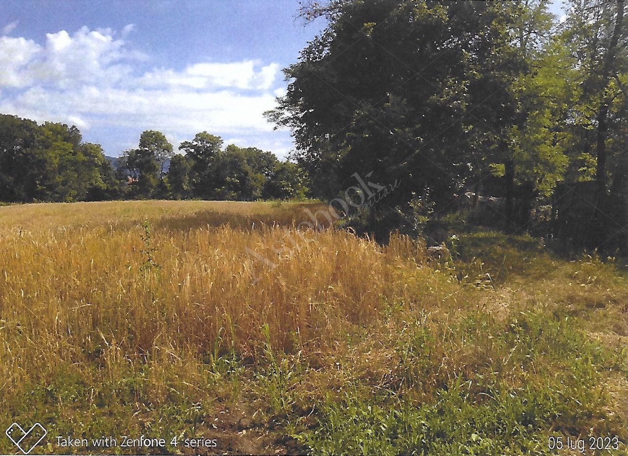 Terreni agricoli per circa 9000 mq in Nibionno