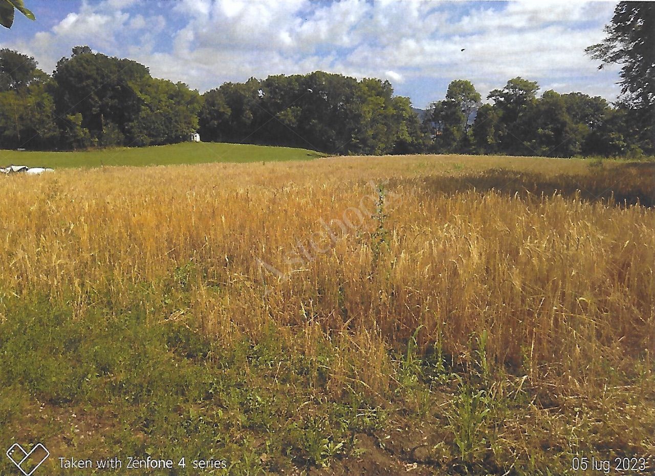 Terreni agricoli per circa 9000 mq in Nibionno