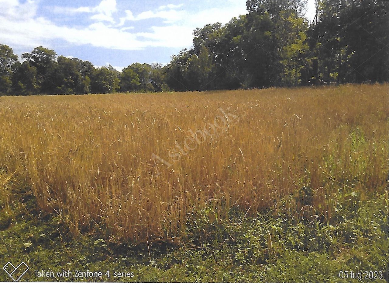 Terreni agricoli per circa 9000 mq in Nibionno