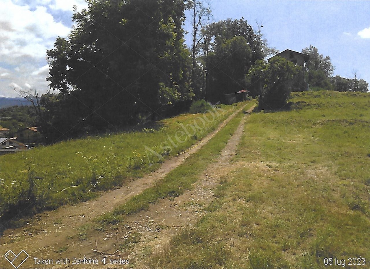 Terreno agricolo di 12342 mq con deposito in Nibionno