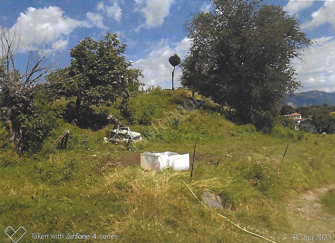 Terreno agricolo di 12342 mq con deposito in Nibionno