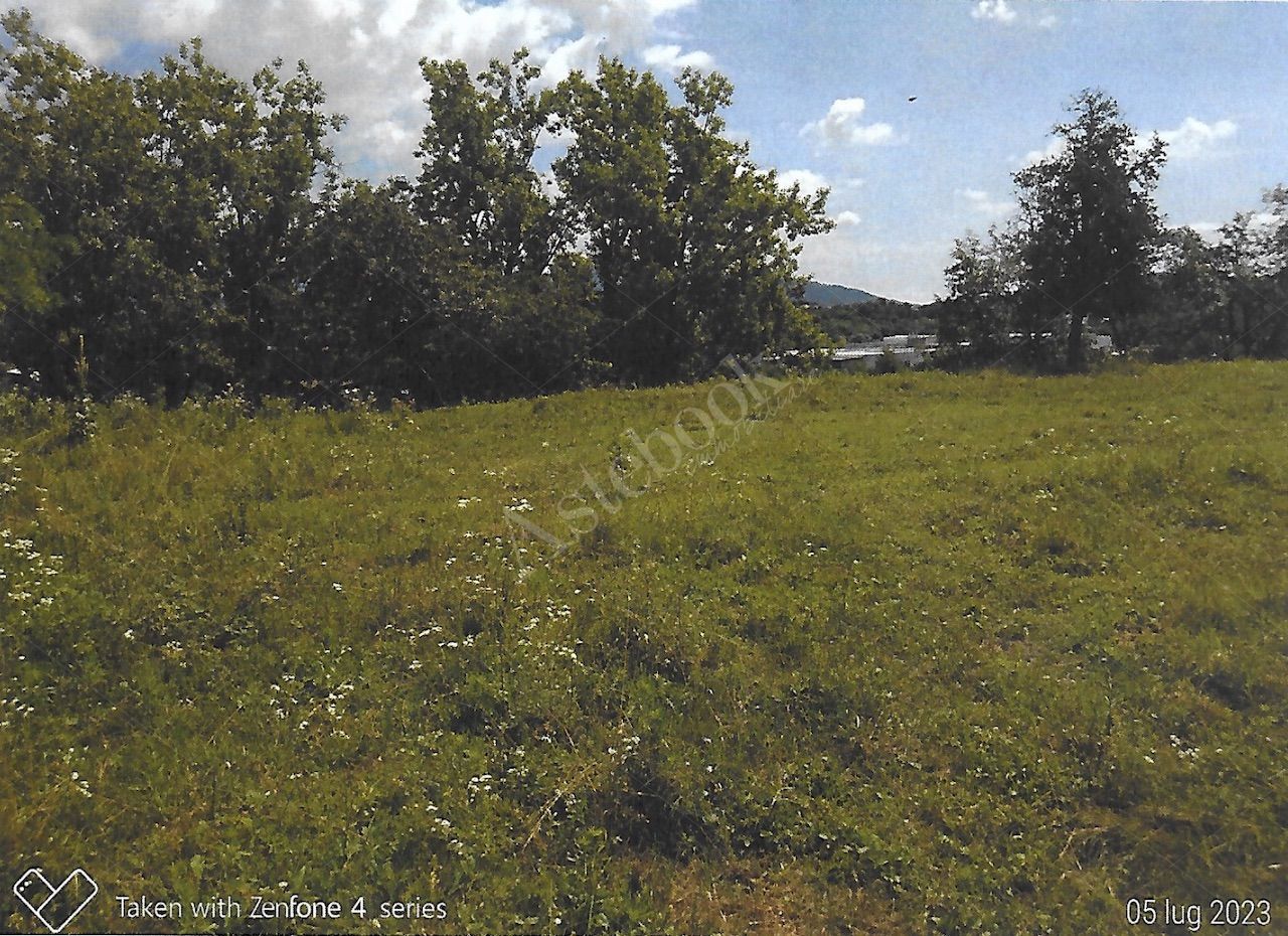 Terreno agricolo di 12342 mq con deposito in Nibionno