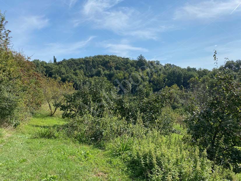 Vendita d'azienda GALBUSERA BIANCA S.R.L. con strutture funzionali e terreni in La Valletta Brianza