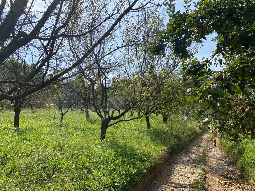 Vendita d'azienda GALBUSERA BIANCA S.R.L. con strutture funzionali e terreni in La Valletta Brianza