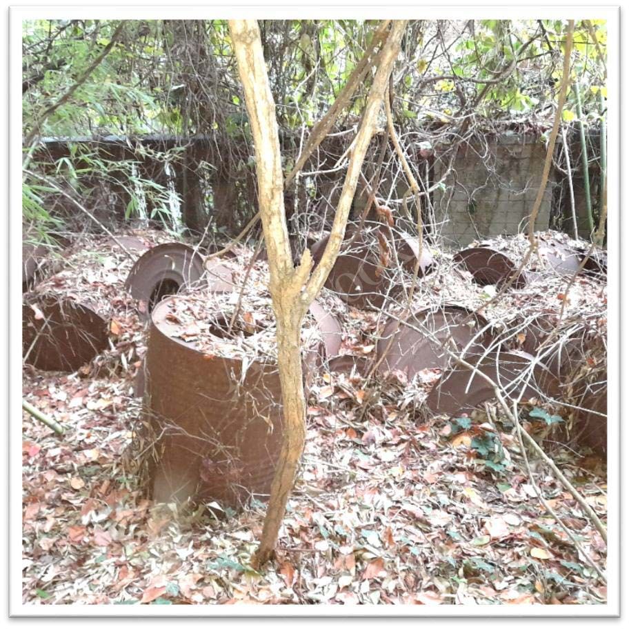 Villa Ghigliotti con terreni in Arquata Scrivia