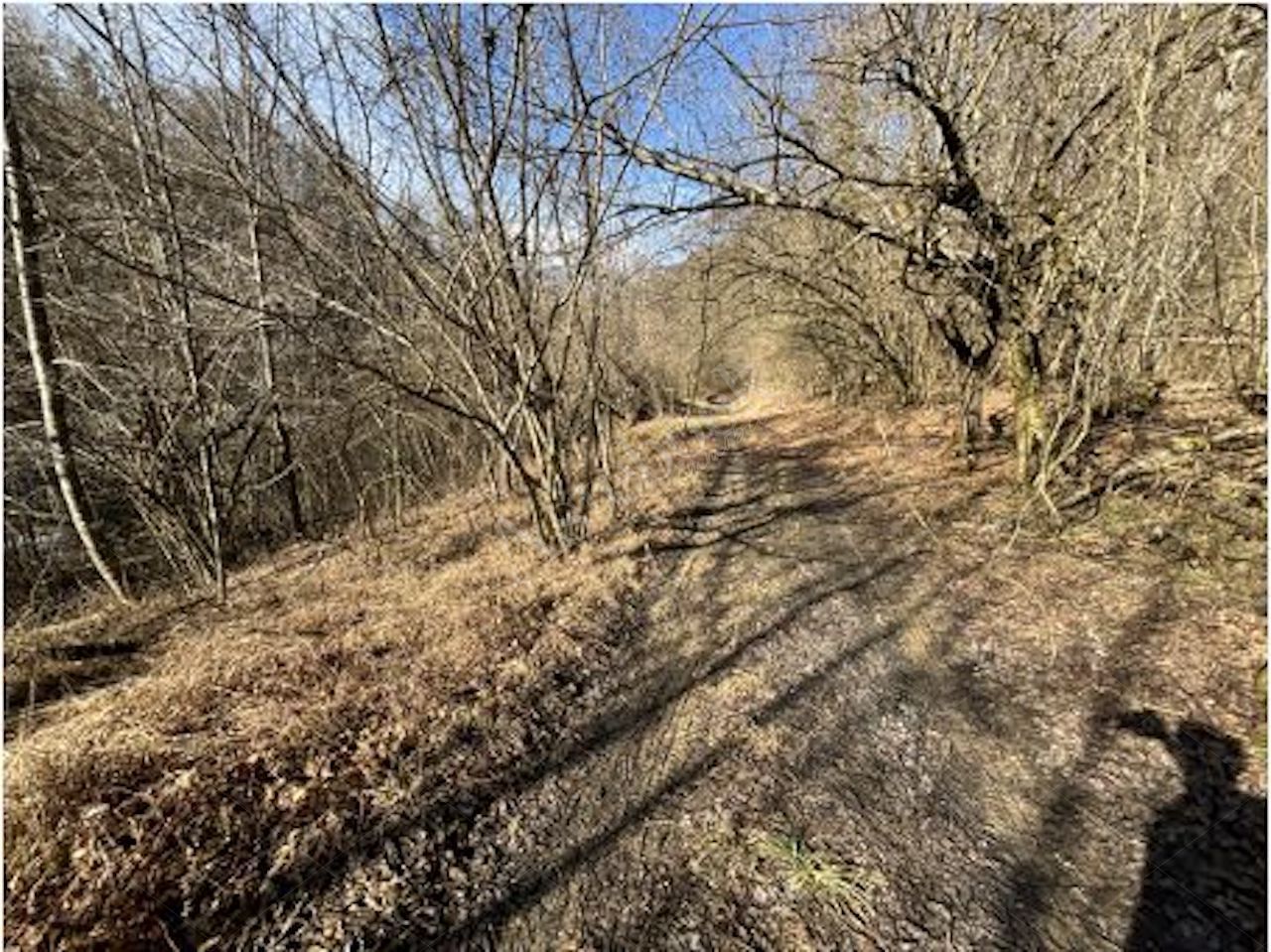 Terreno agricolo della superficie commerciale di 16150 mq in Cassina Valsassina